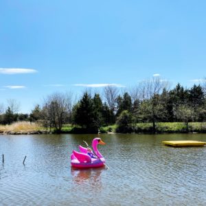 flamingo float in Papillion